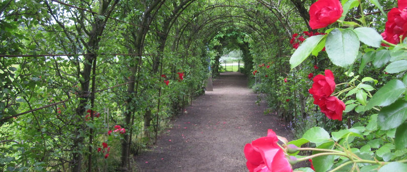 Jörg Käding Garten und Landschaftsbau GmbH - Berlin, DE 10559 | Houzz DE