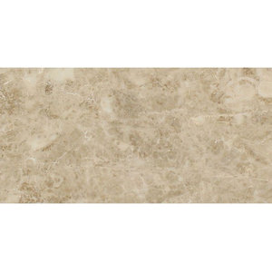 MSI N1224P-N 12" x 24" Rectangle Floor and Wall Tile - Polished -  Traditional - Wall And Floor Tile - by Buildcom | Houzz