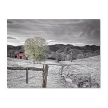 leaman_cindy's ideas