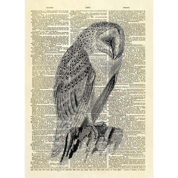 Screech Owl Art Dictionary Print, Black