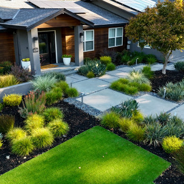 Alamo Modern Low Water Front Yard
