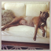 Bailey Netoさんの写真