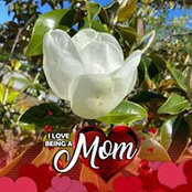 Cindy DuFresne's photo