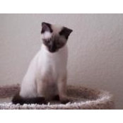 Elizabeth Zima's photo