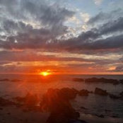Nicole Mayoh's photo