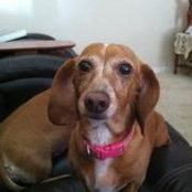 Marie Niven's photo