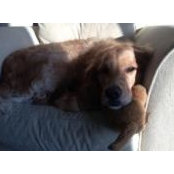 Misty Brents's photo