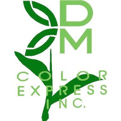 DM Color Express
