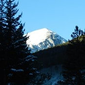 Carol Venable's photo