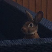 Amanda Enticknapp's photo