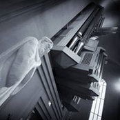 Paul Allen's photo