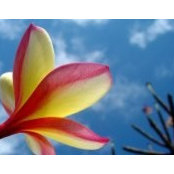 Marnie Castle's photo