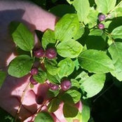 Foto von Katherine Bluthardt