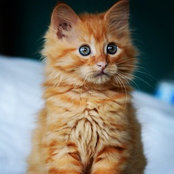 Gemma Kemps's photo