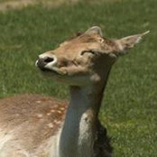 Foto von Louise Venables