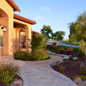 Mediterranean Xeriscape Garden