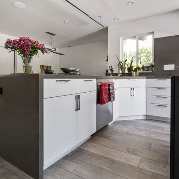 Interior Remodel-1, Palo Alto