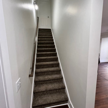 Client's Basement