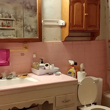 Master Bath Dearborn