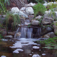 landscaping ideas