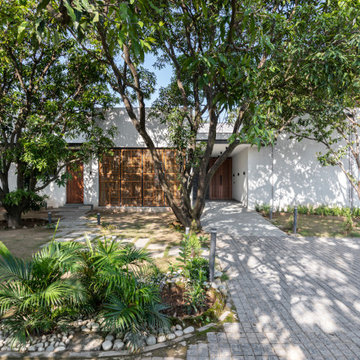 HOUSE OF MANGO SHADOWS