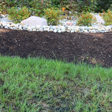 Rain Garden for Drainage Issues