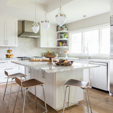 Highland Park Mid Century Remodel