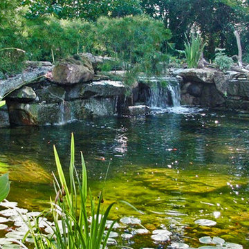 Ponds & Water features