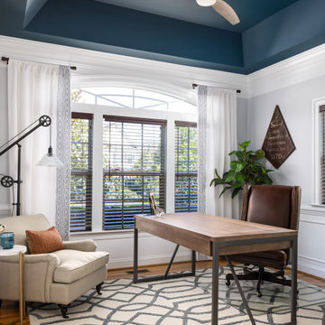 Dark Teal Ceiling Home Office