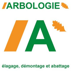 Arbologie