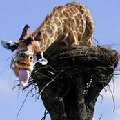 Lee Kernodle's photo