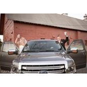 Bryan Mcfarland's photo