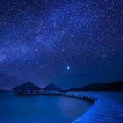 Meidad Babi's photo
