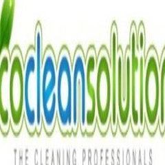 Ecocleansolutions