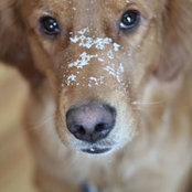 Mike Ring's photo