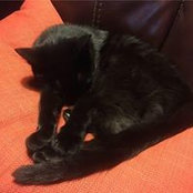 April Hathcoat's photo
