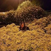 Aude Morvan's photo