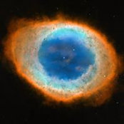 Dave Neenjaa's photo