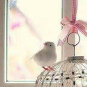 Nasab Baba's photo