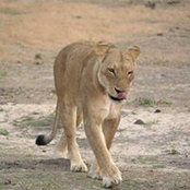 David Biauce's photo