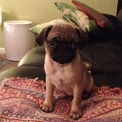 Sherry Scott's photo