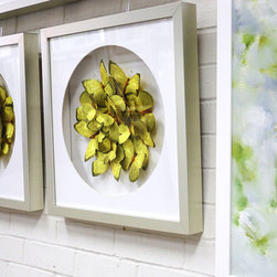 Custom Framed Butterflies - Wall Decor