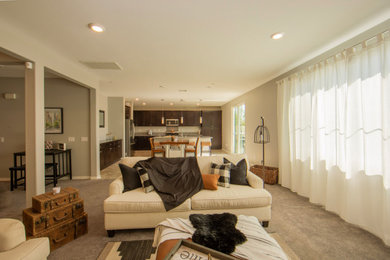 Mid-sized transitional family room photo in Tampa