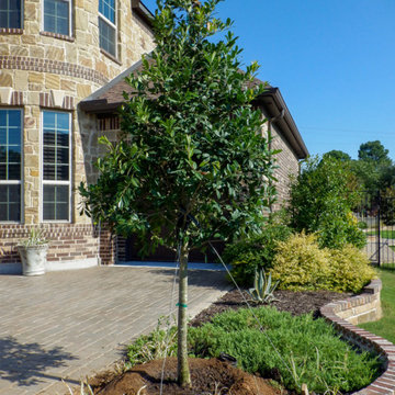 Privacy Screens
