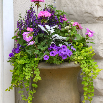 Summer Containers