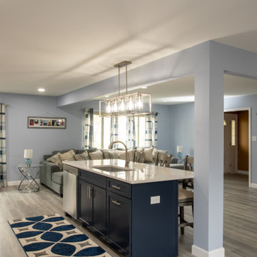 Open Concept - Main Level Renovation- FW
