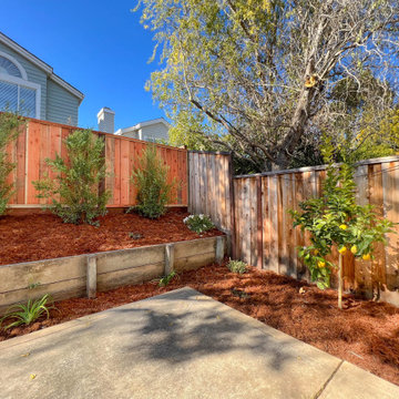 Backyard Transformation (Turf, Pavers, Shrubs, Fence, Mulch)