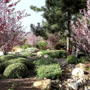Drought Tolerant Nature Garden