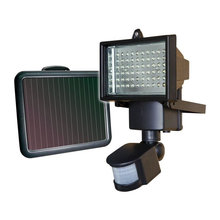 Landscape Lighting