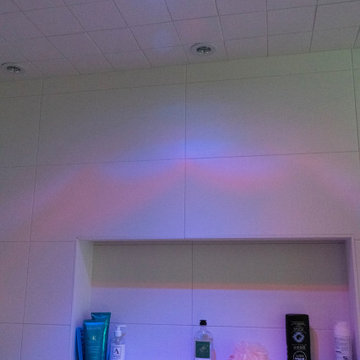 Master Bathroom Remodel, Agura